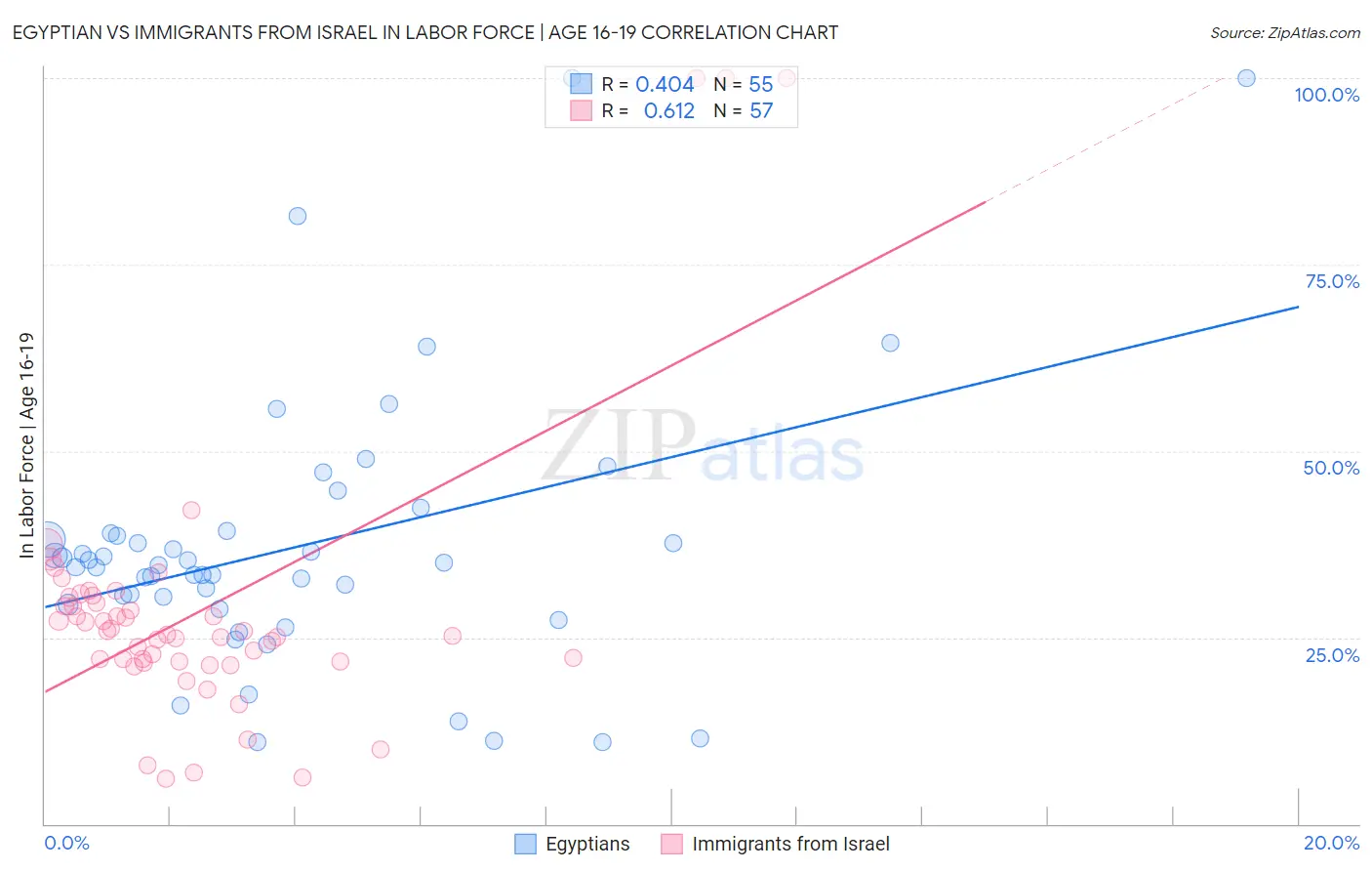 Egyptian vs Immigrants from Israel In Labor Force | Age 16-19