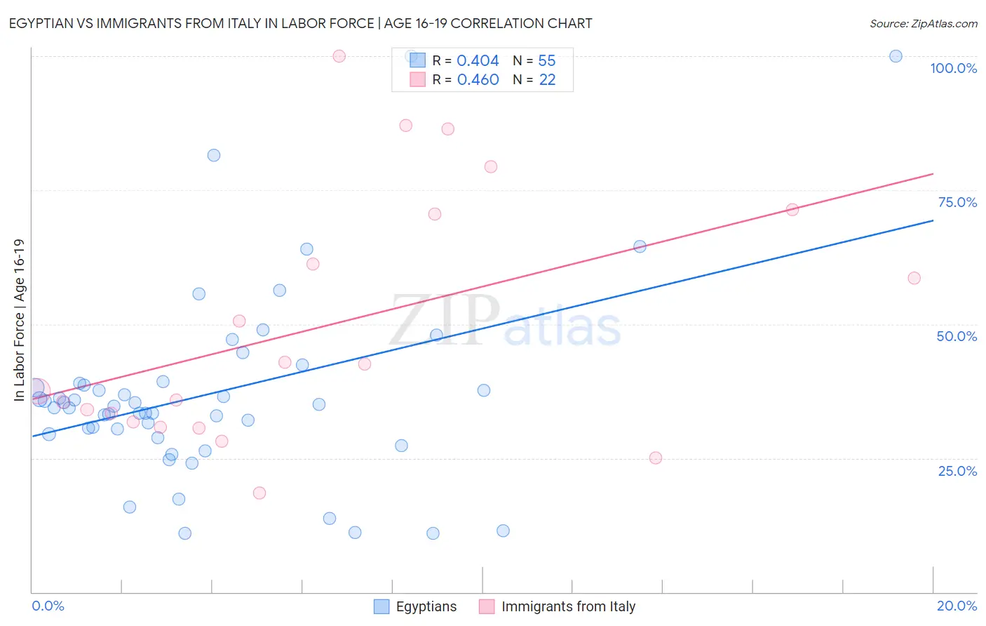 Egyptian vs Immigrants from Italy In Labor Force | Age 16-19