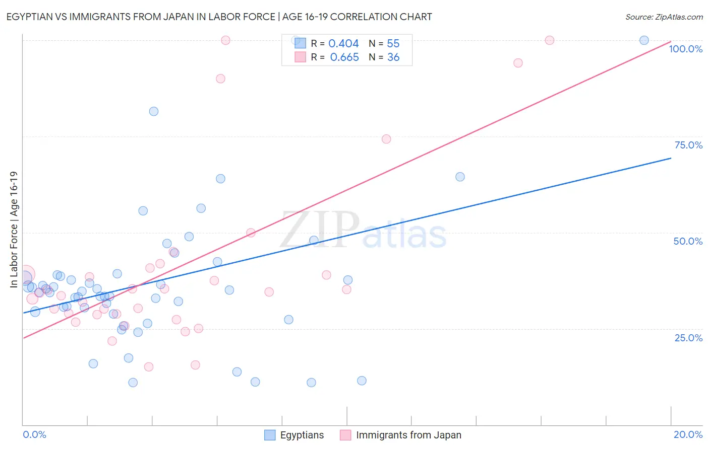 Egyptian vs Immigrants from Japan In Labor Force | Age 16-19