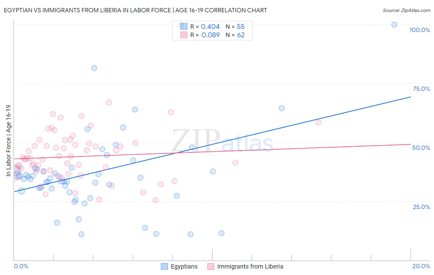 Egyptian vs Immigrants from Liberia In Labor Force | Age 16-19