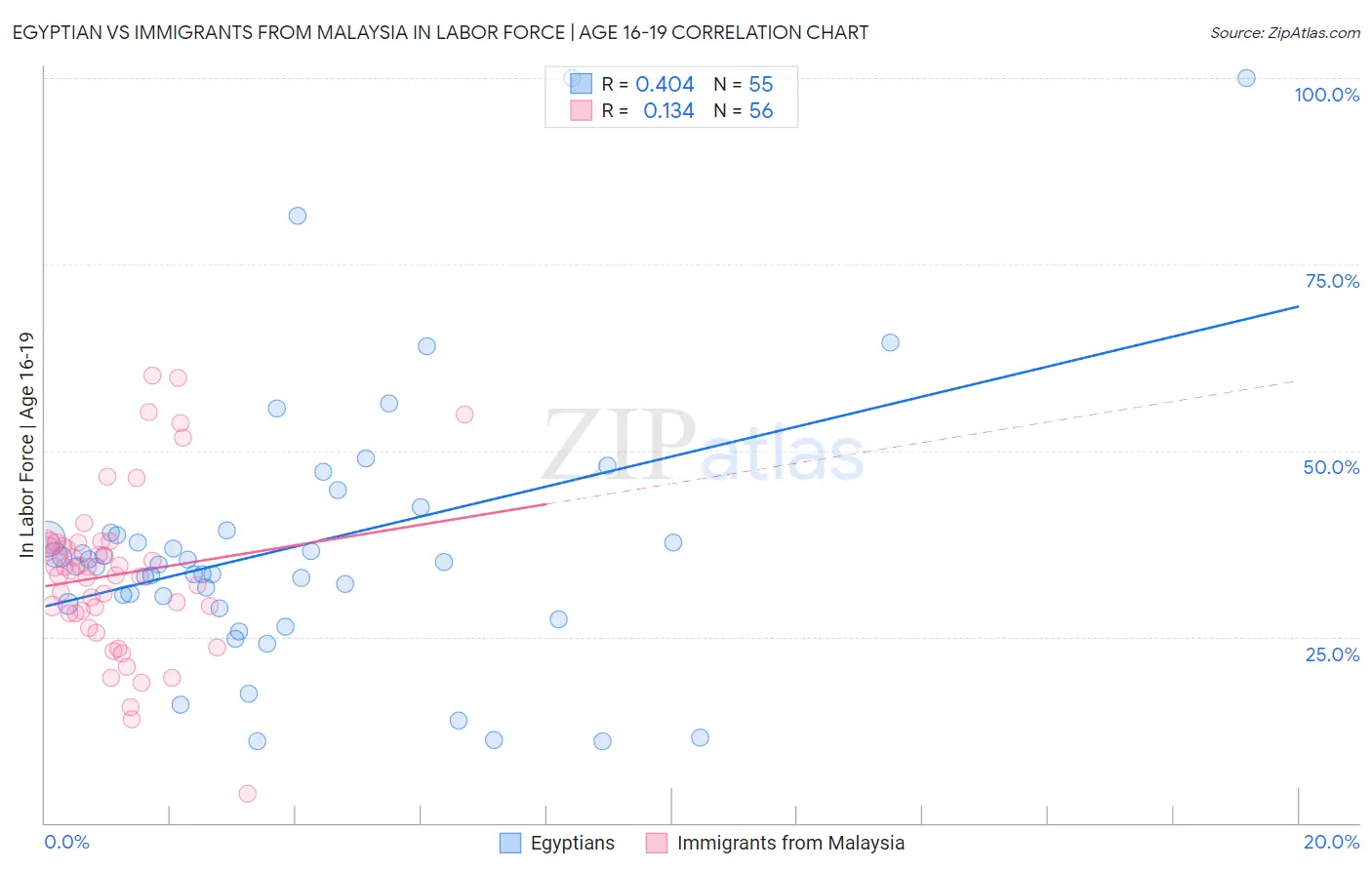 Egyptian vs Immigrants from Malaysia In Labor Force | Age 16-19