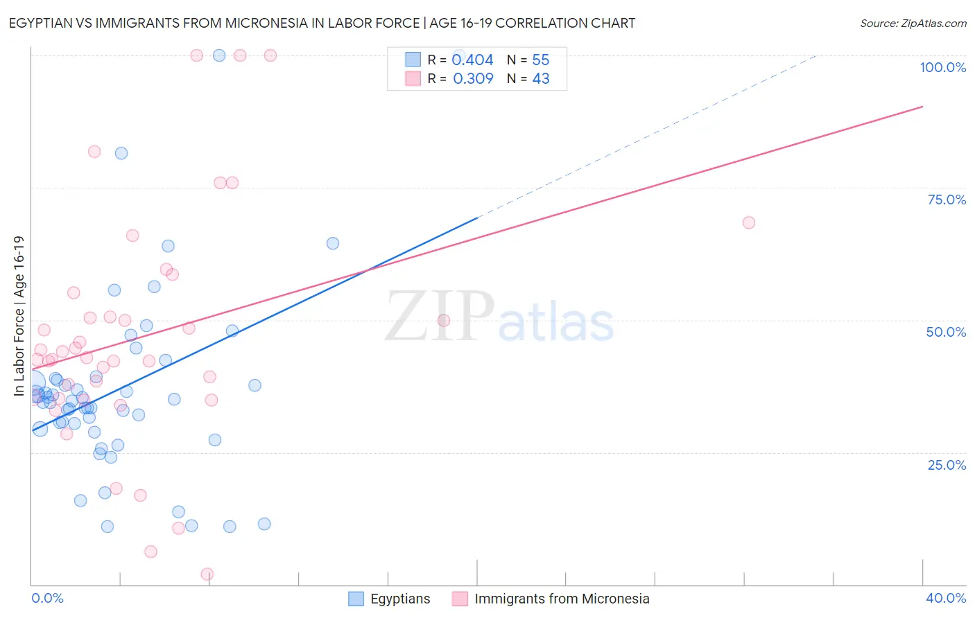 Egyptian vs Immigrants from Micronesia In Labor Force | Age 16-19