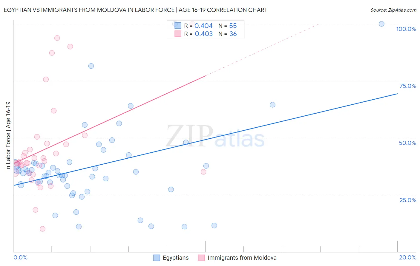 Egyptian vs Immigrants from Moldova In Labor Force | Age 16-19