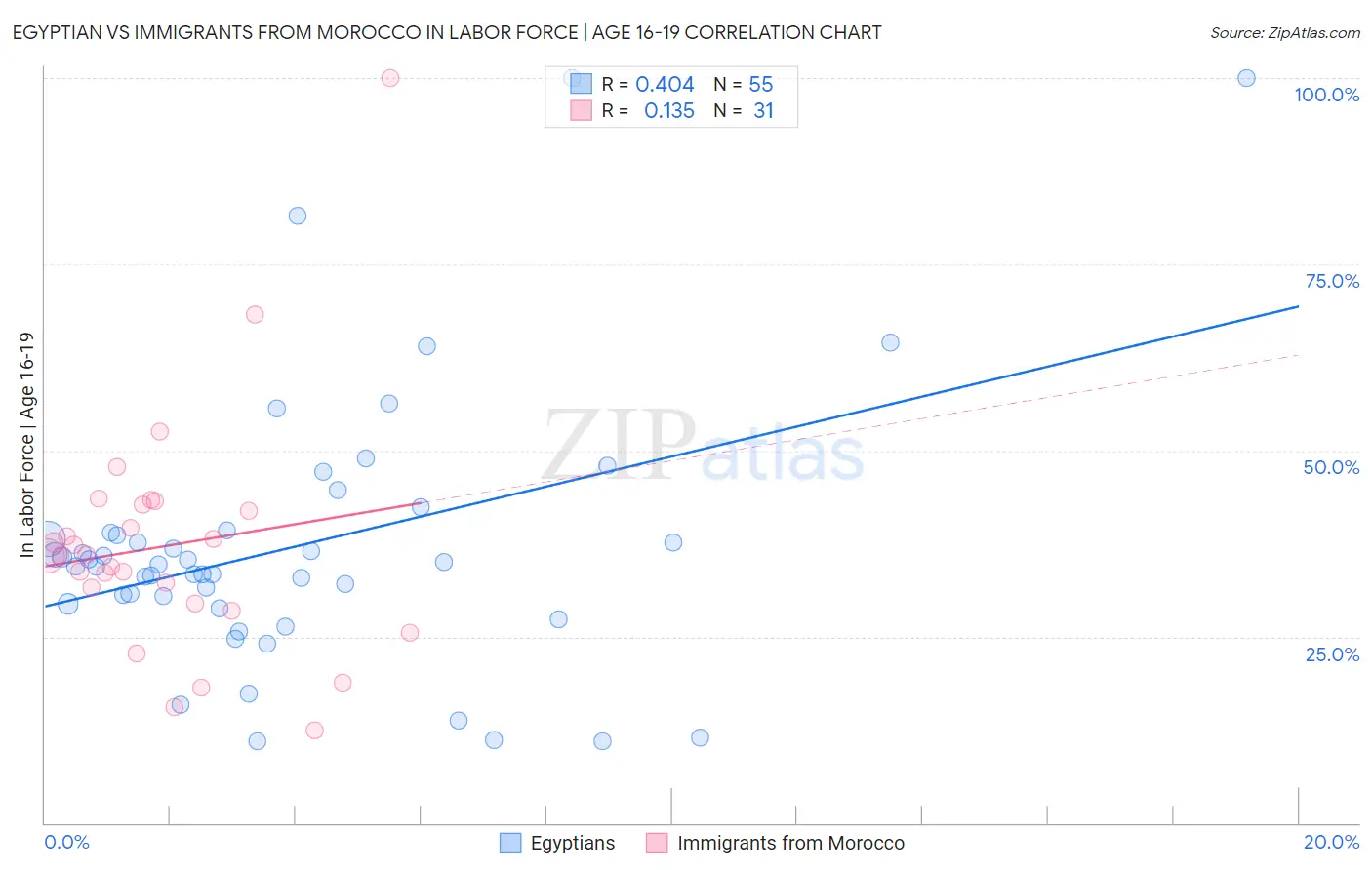 Egyptian vs Immigrants from Morocco In Labor Force | Age 16-19