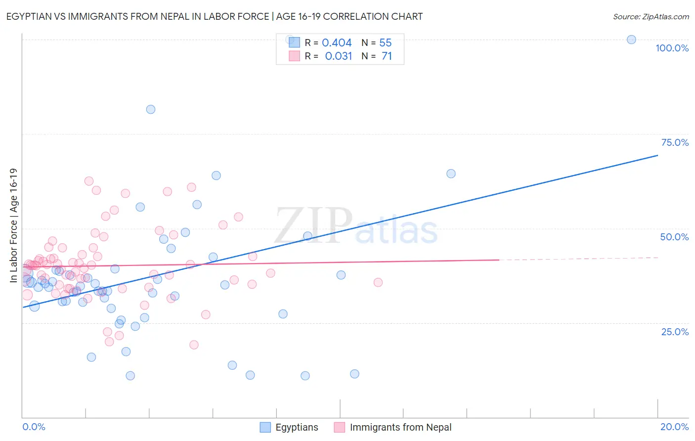 Egyptian vs Immigrants from Nepal In Labor Force | Age 16-19