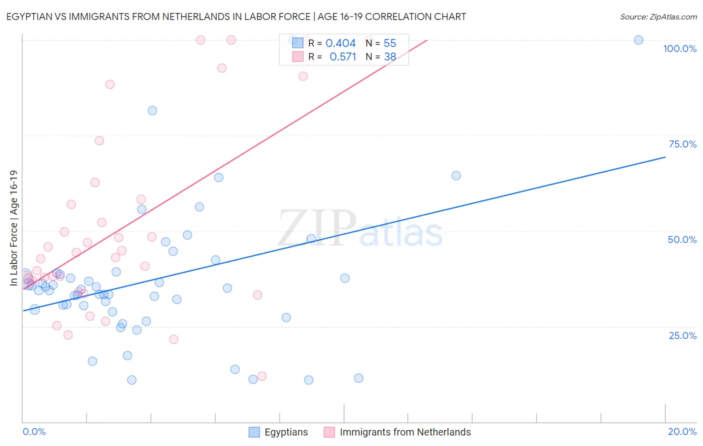 Egyptian vs Immigrants from Netherlands In Labor Force | Age 16-19