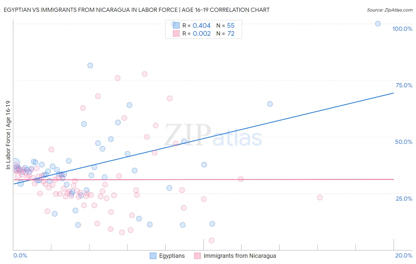 Egyptian vs Immigrants from Nicaragua In Labor Force | Age 16-19