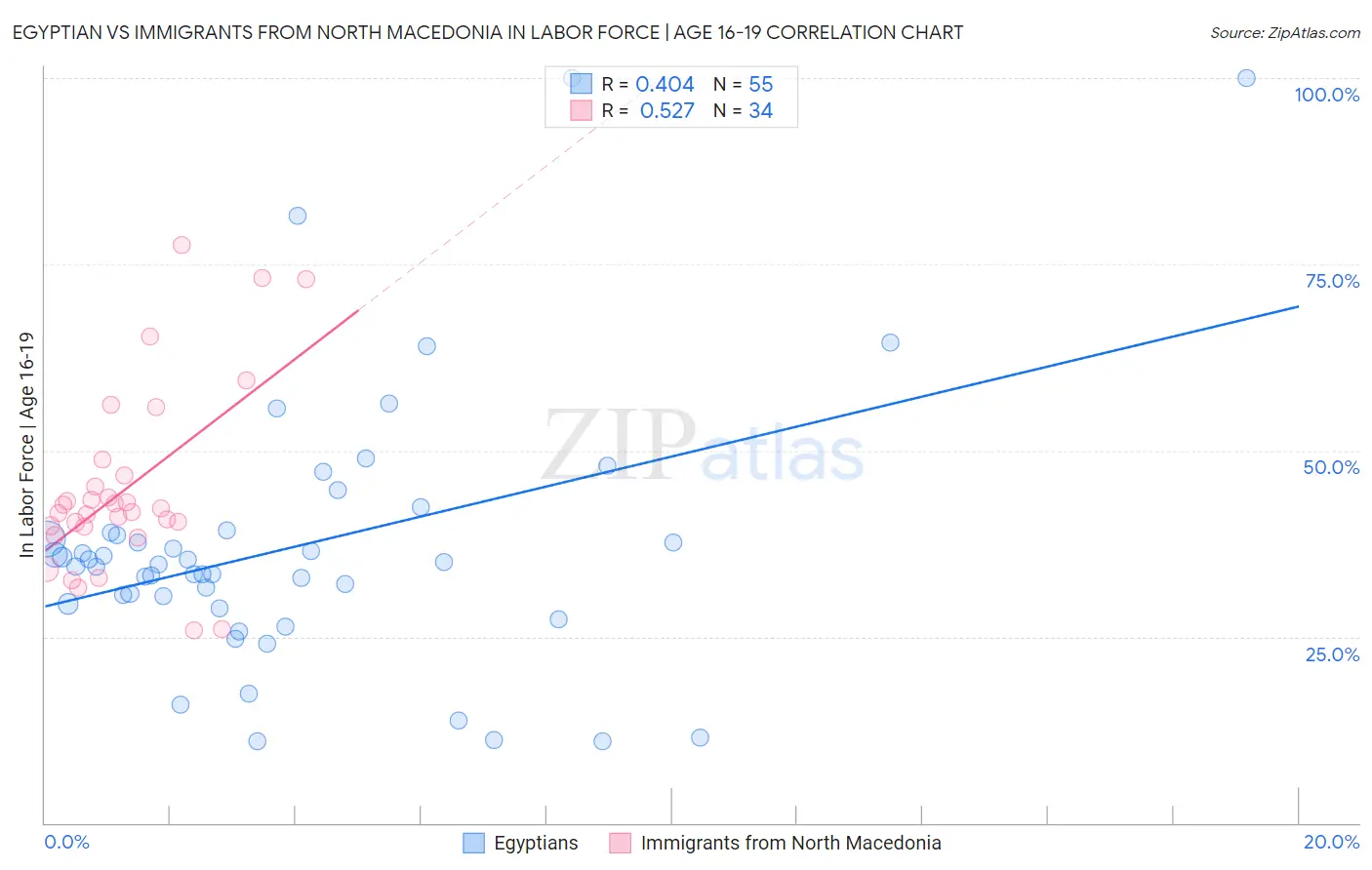 Egyptian vs Immigrants from North Macedonia In Labor Force | Age 16-19