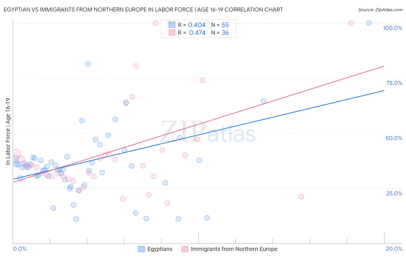 Egyptian vs Immigrants from Northern Europe In Labor Force | Age 16-19