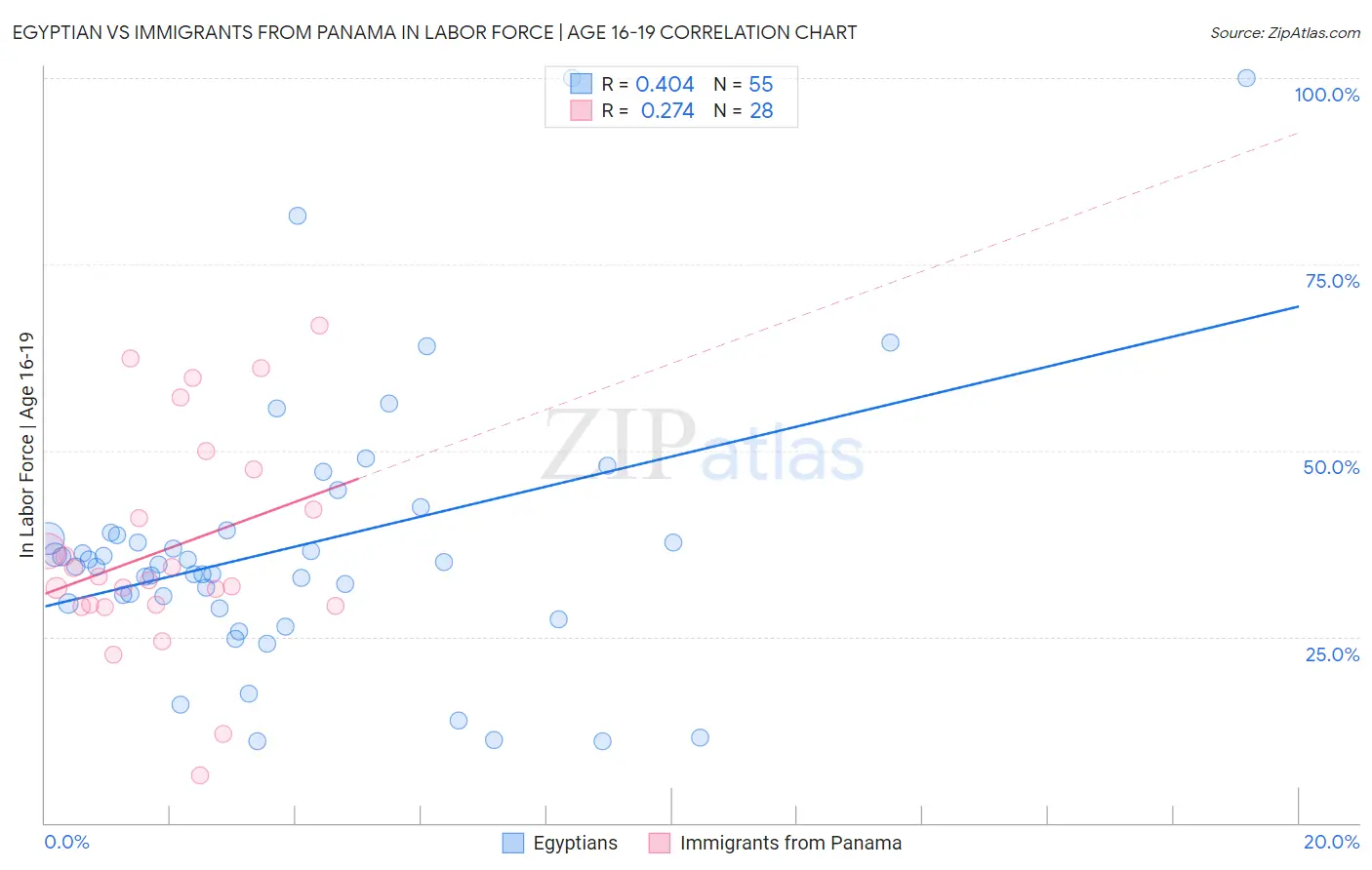 Egyptian vs Immigrants from Panama In Labor Force | Age 16-19