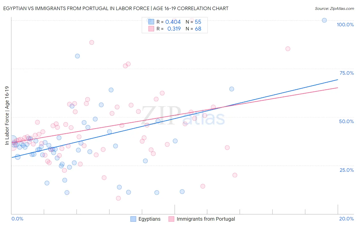 Egyptian vs Immigrants from Portugal In Labor Force | Age 16-19