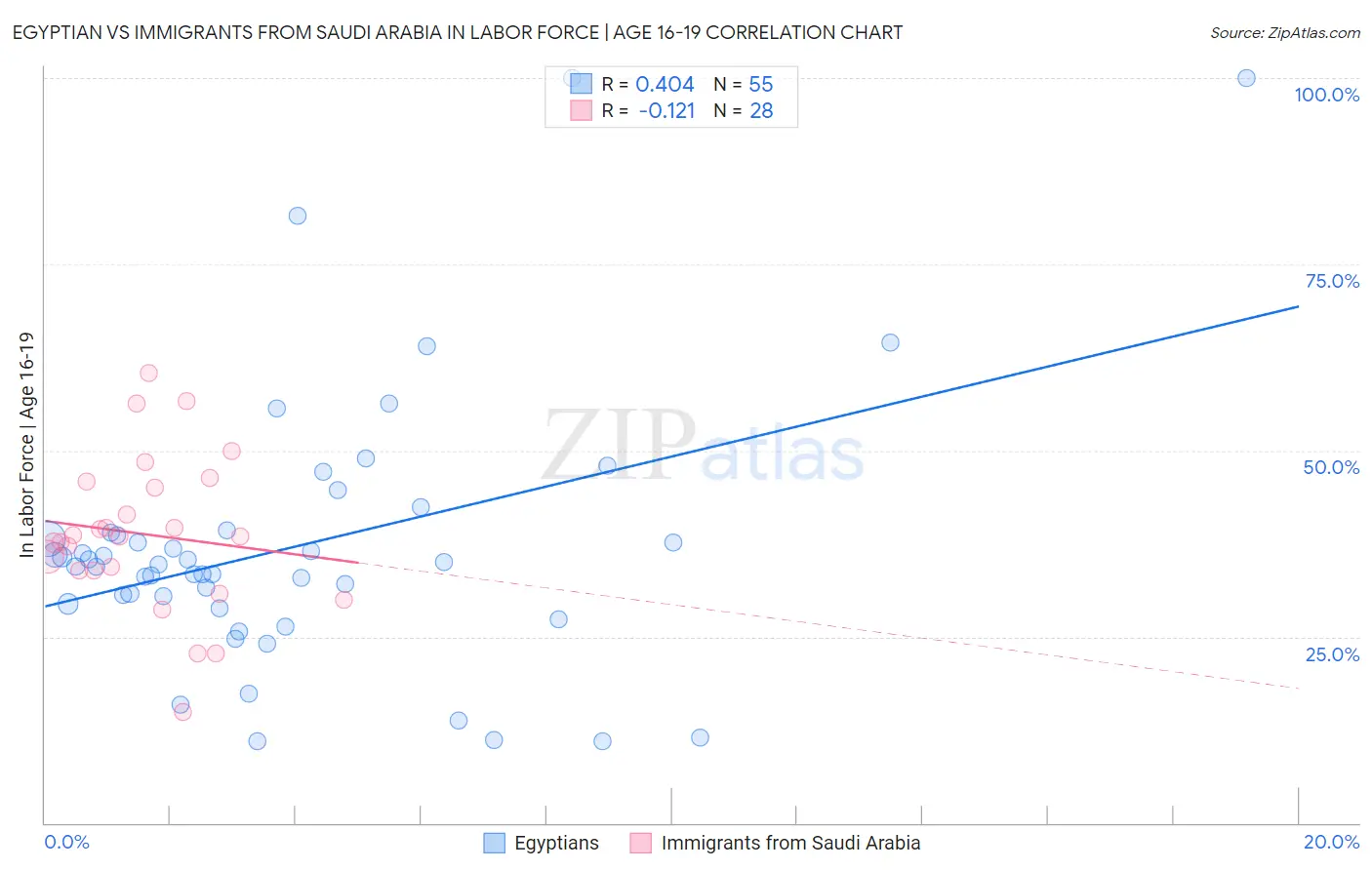 Egyptian vs Immigrants from Saudi Arabia In Labor Force | Age 16-19