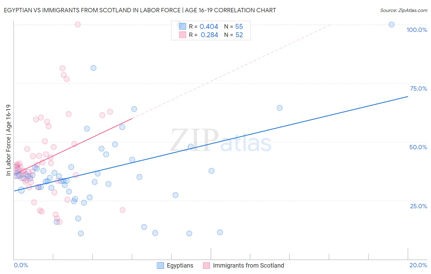 Egyptian vs Immigrants from Scotland In Labor Force | Age 16-19