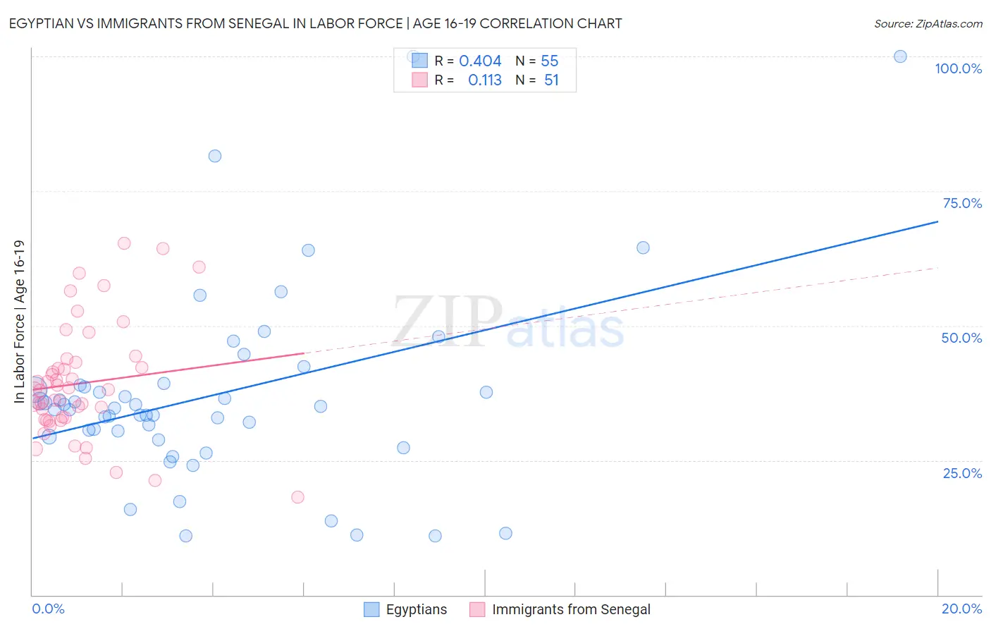 Egyptian vs Immigrants from Senegal In Labor Force | Age 16-19
