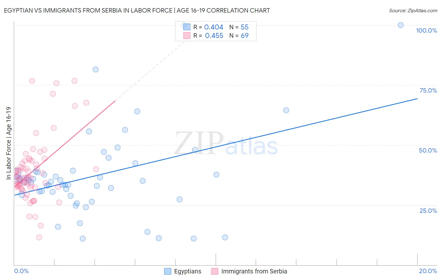 Egyptian vs Immigrants from Serbia In Labor Force | Age 16-19