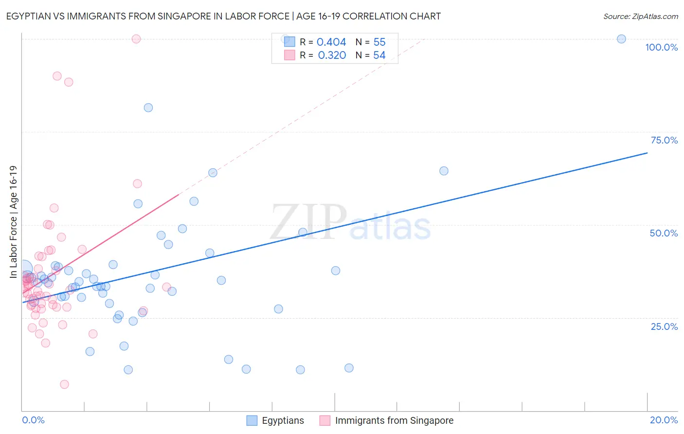 Egyptian vs Immigrants from Singapore In Labor Force | Age 16-19