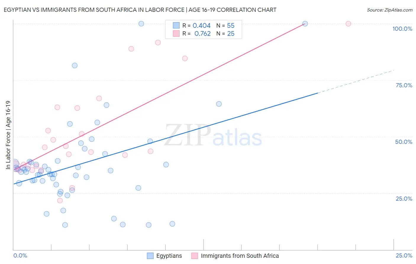 Egyptian vs Immigrants from South Africa In Labor Force | Age 16-19