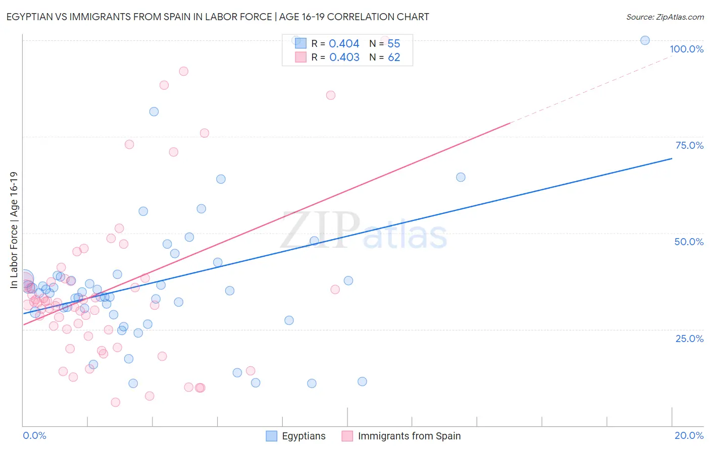 Egyptian vs Immigrants from Spain In Labor Force | Age 16-19