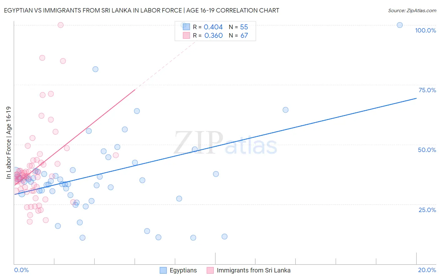 Egyptian vs Immigrants from Sri Lanka In Labor Force | Age 16-19