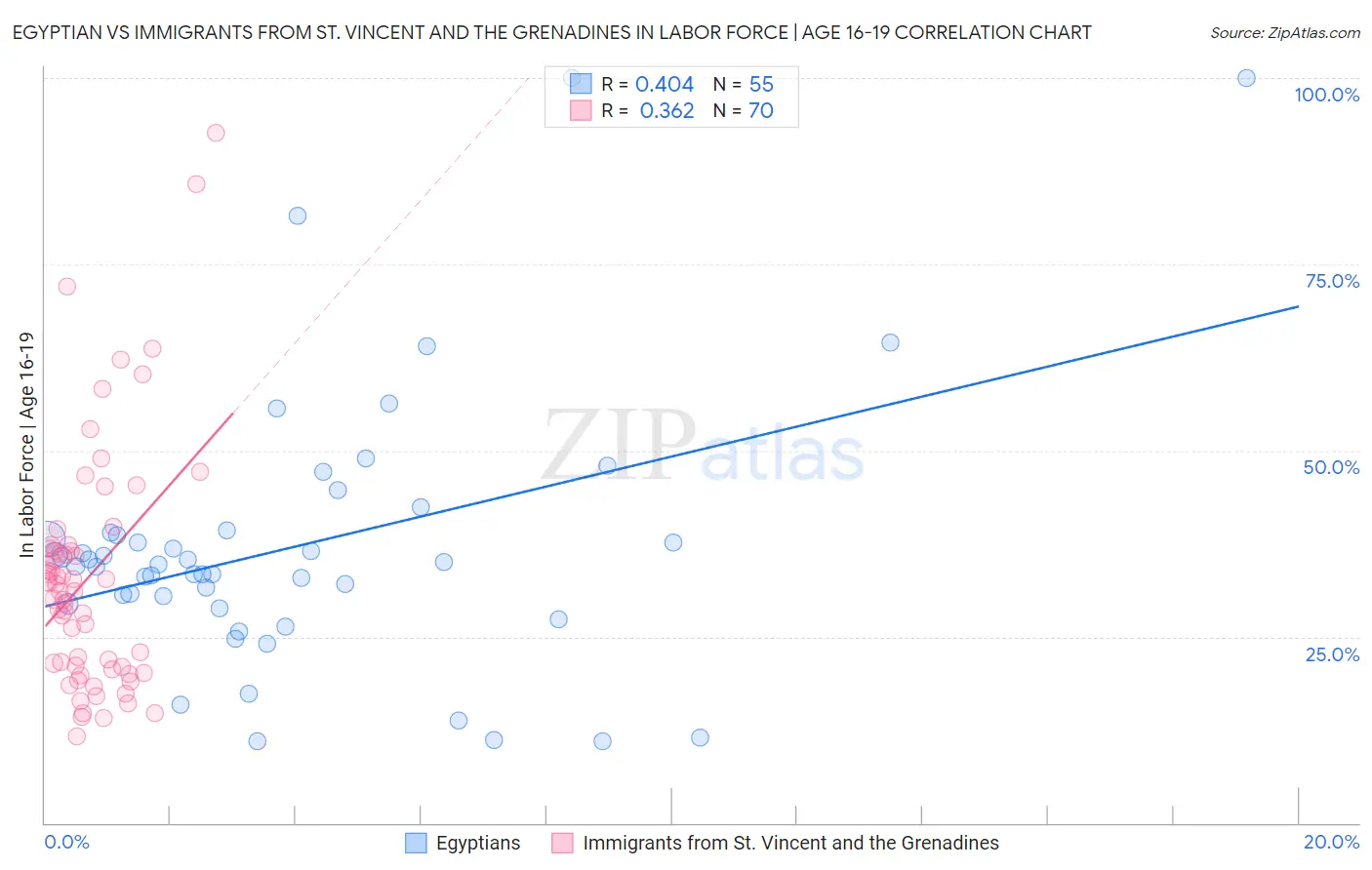 Egyptian vs Immigrants from St. Vincent and the Grenadines In Labor Force | Age 16-19