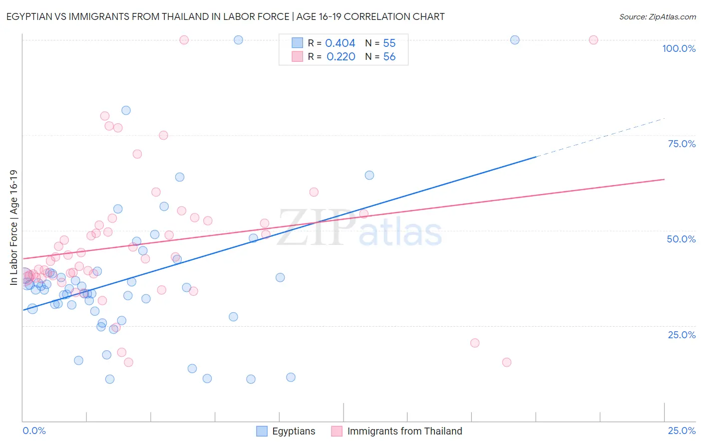 Egyptian vs Immigrants from Thailand In Labor Force | Age 16-19