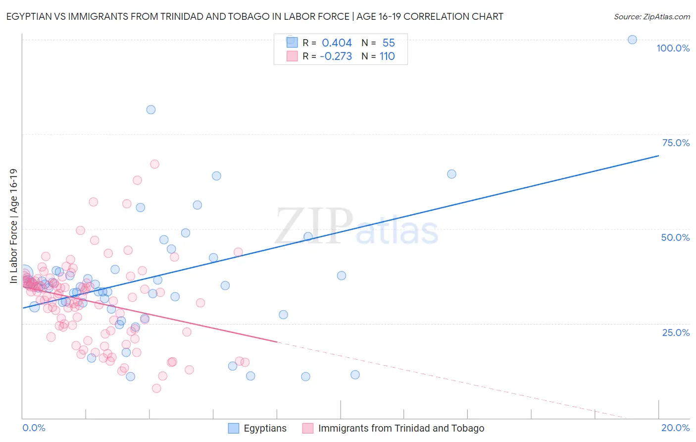 Egyptian vs Immigrants from Trinidad and Tobago In Labor Force | Age 16-19