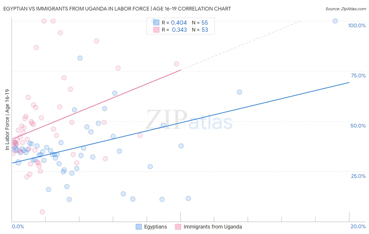 Egyptian vs Immigrants from Uganda In Labor Force | Age 16-19