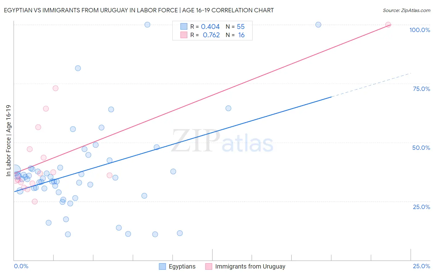 Egyptian vs Immigrants from Uruguay In Labor Force | Age 16-19