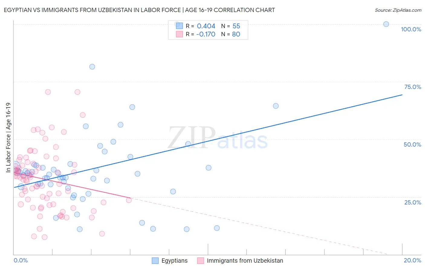 Egyptian vs Immigrants from Uzbekistan In Labor Force | Age 16-19