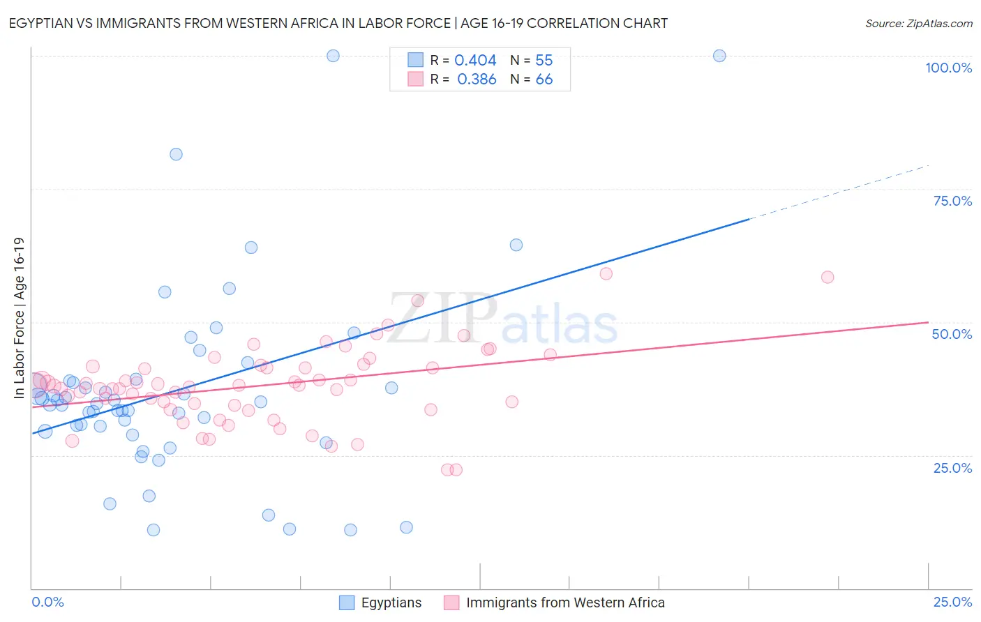 Egyptian vs Immigrants from Western Africa In Labor Force | Age 16-19