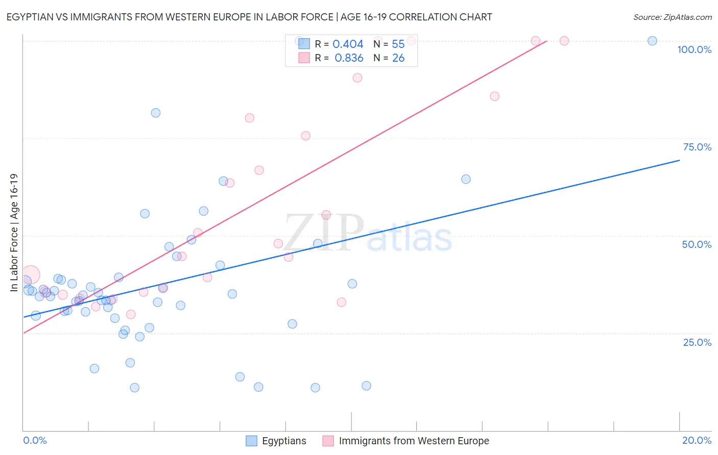 Egyptian vs Immigrants from Western Europe In Labor Force | Age 16-19