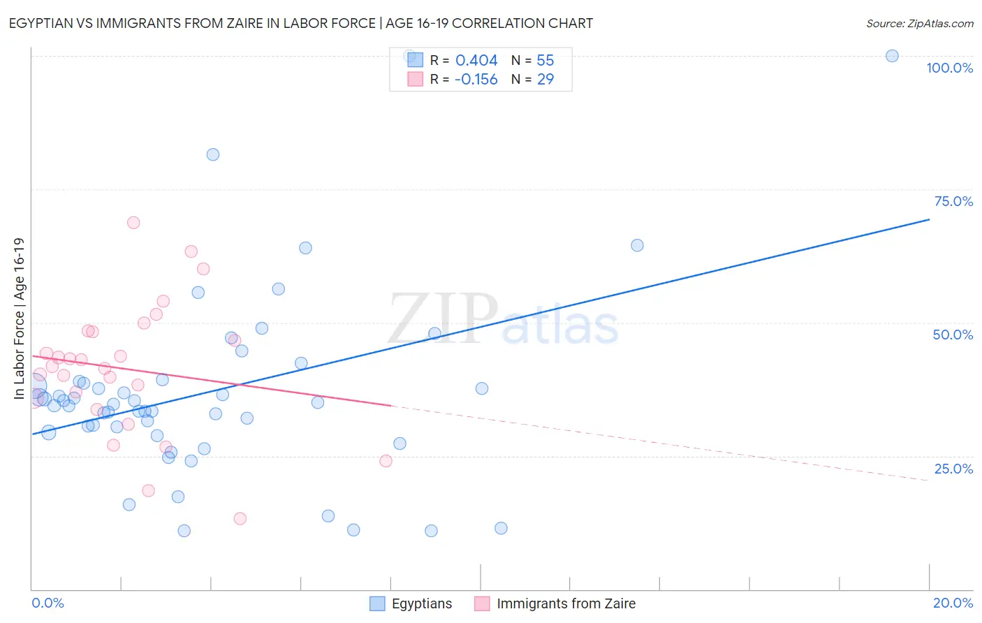 Egyptian vs Immigrants from Zaire In Labor Force | Age 16-19