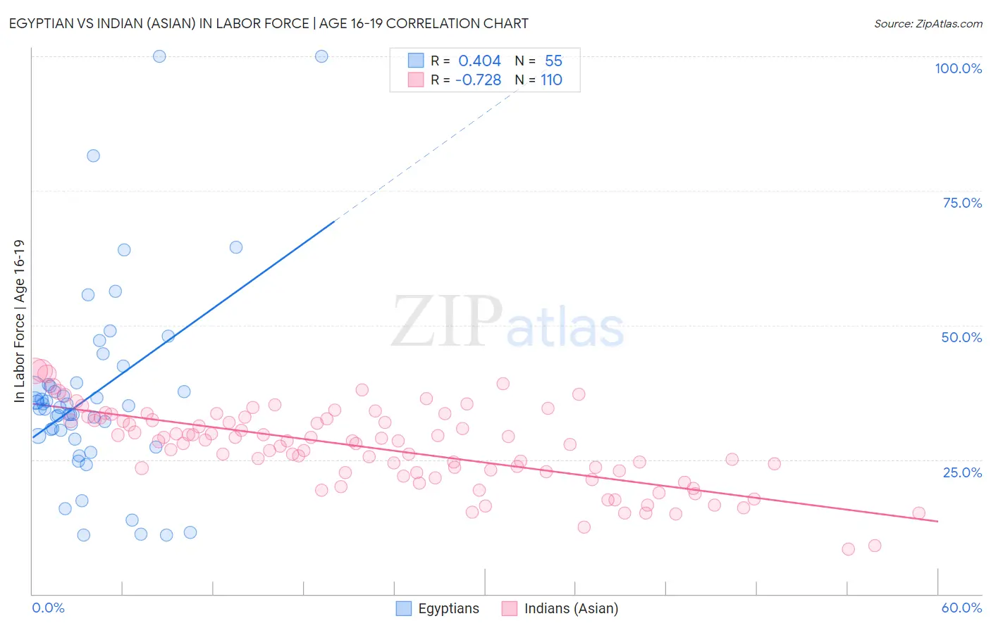 Egyptian vs Indian (Asian) In Labor Force | Age 16-19