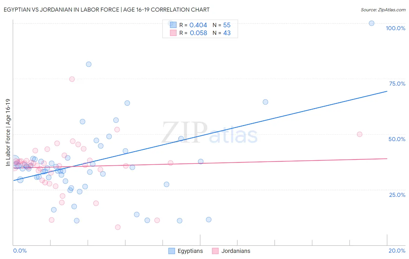Egyptian vs Jordanian In Labor Force | Age 16-19