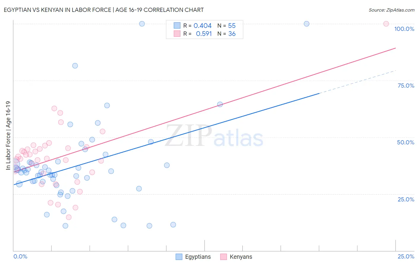 Egyptian vs Kenyan In Labor Force | Age 16-19