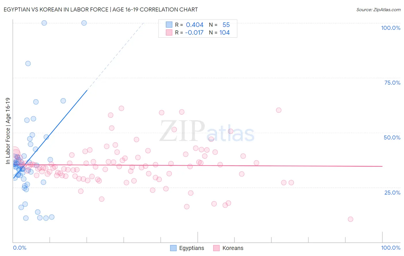 Egyptian vs Korean In Labor Force | Age 16-19