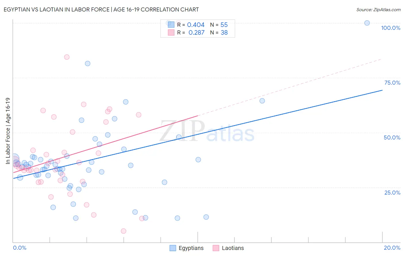 Egyptian vs Laotian In Labor Force | Age 16-19