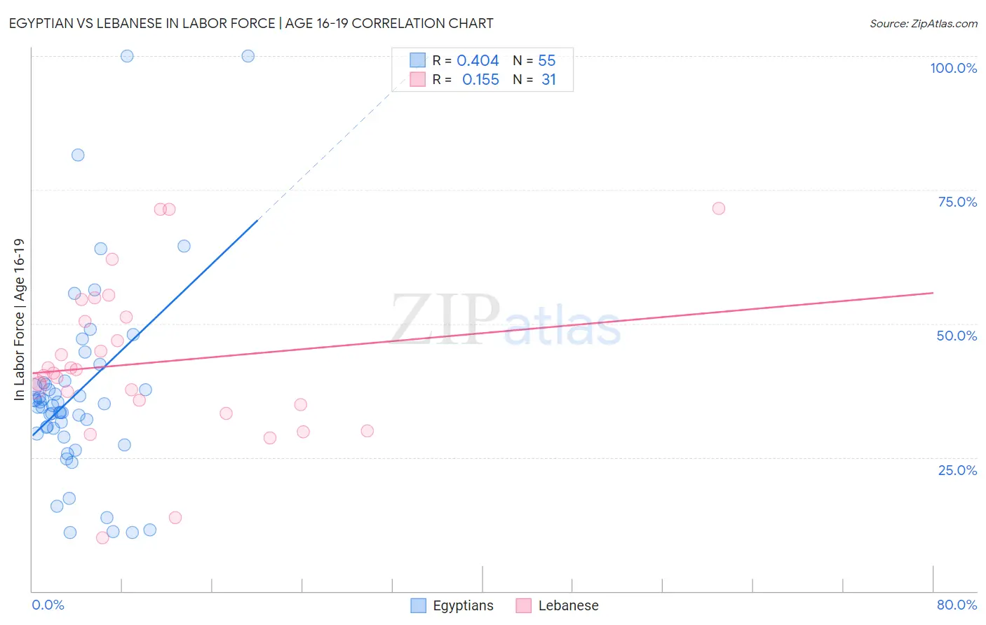 Egyptian vs Lebanese In Labor Force | Age 16-19