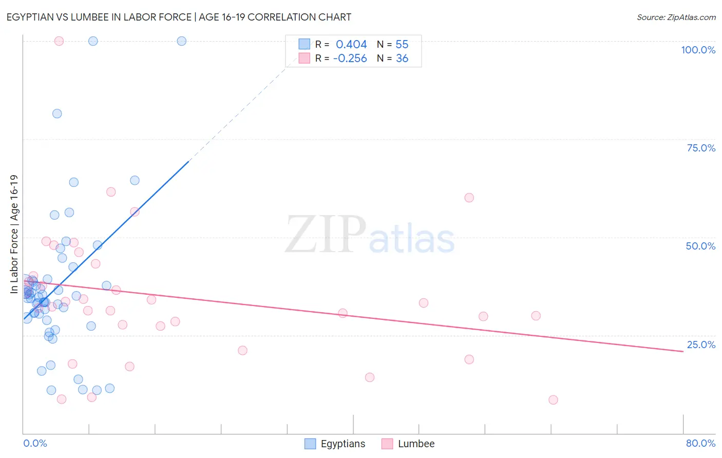Egyptian vs Lumbee In Labor Force | Age 16-19