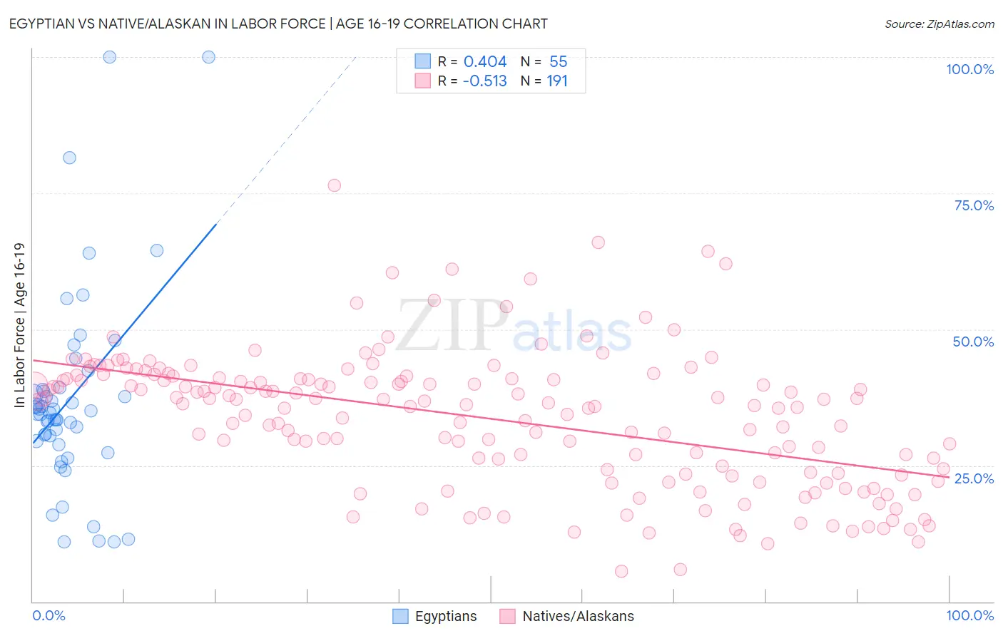 Egyptian vs Native/Alaskan In Labor Force | Age 16-19