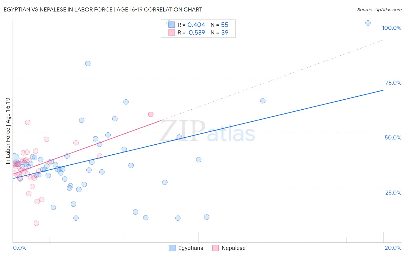 Egyptian vs Nepalese In Labor Force | Age 16-19