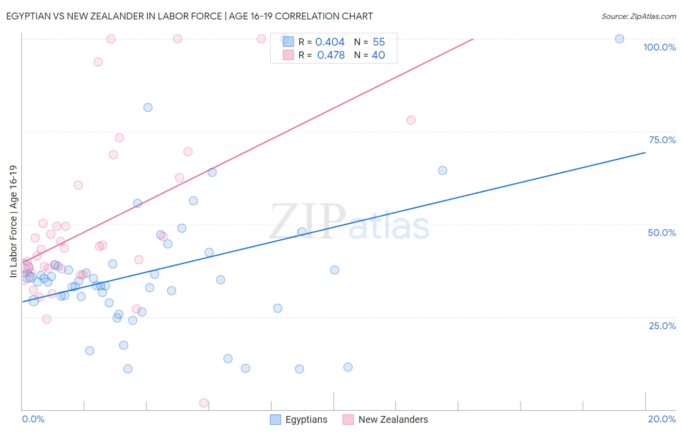 Egyptian vs New Zealander In Labor Force | Age 16-19