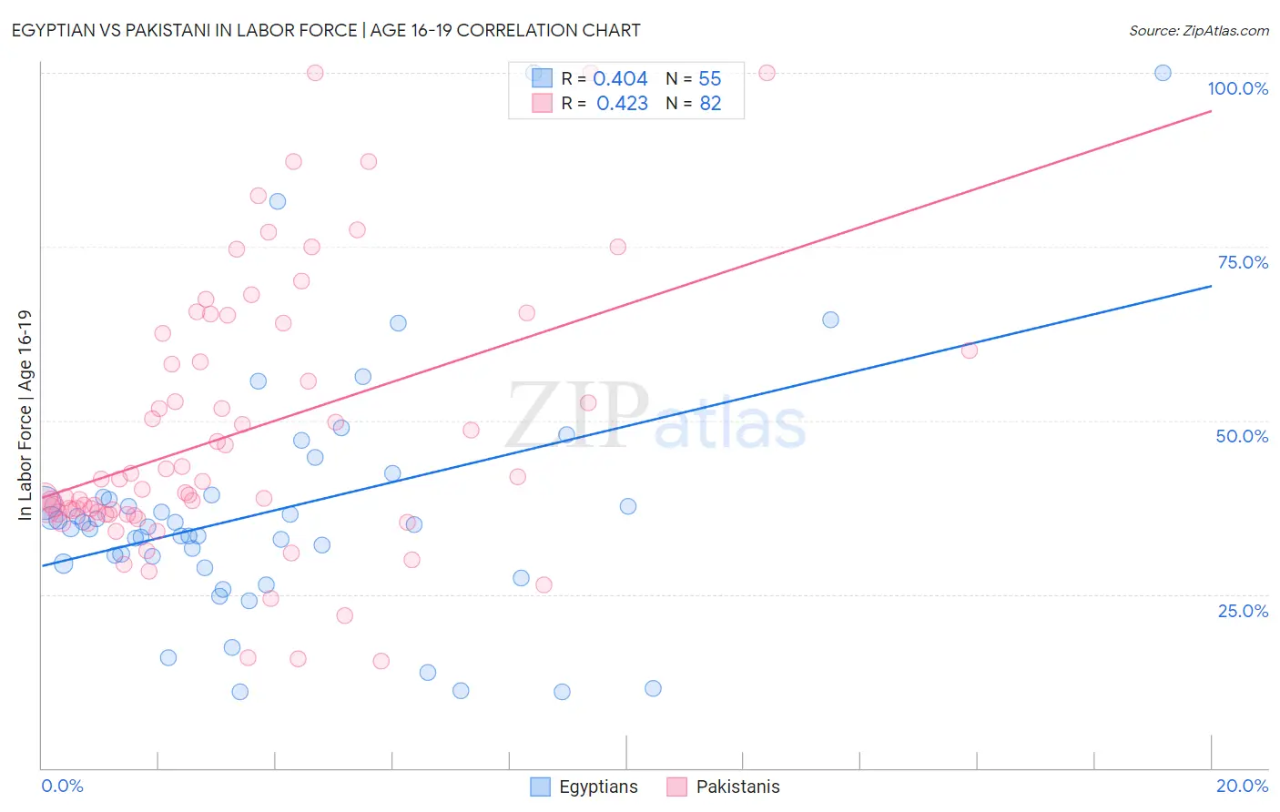 Egyptian vs Pakistani In Labor Force | Age 16-19