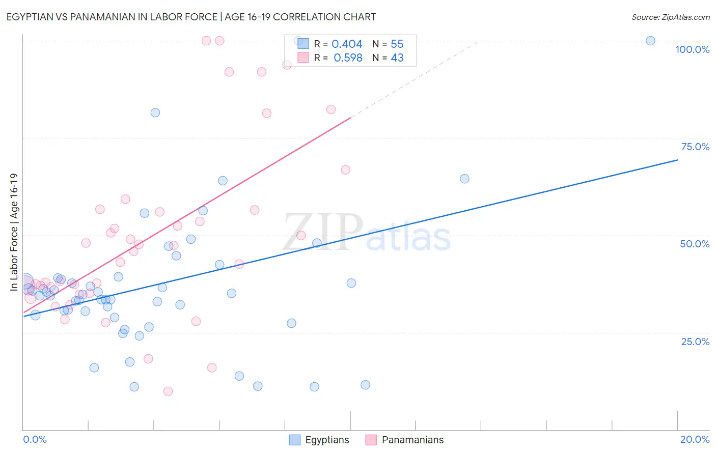 Egyptian vs Panamanian In Labor Force | Age 16-19