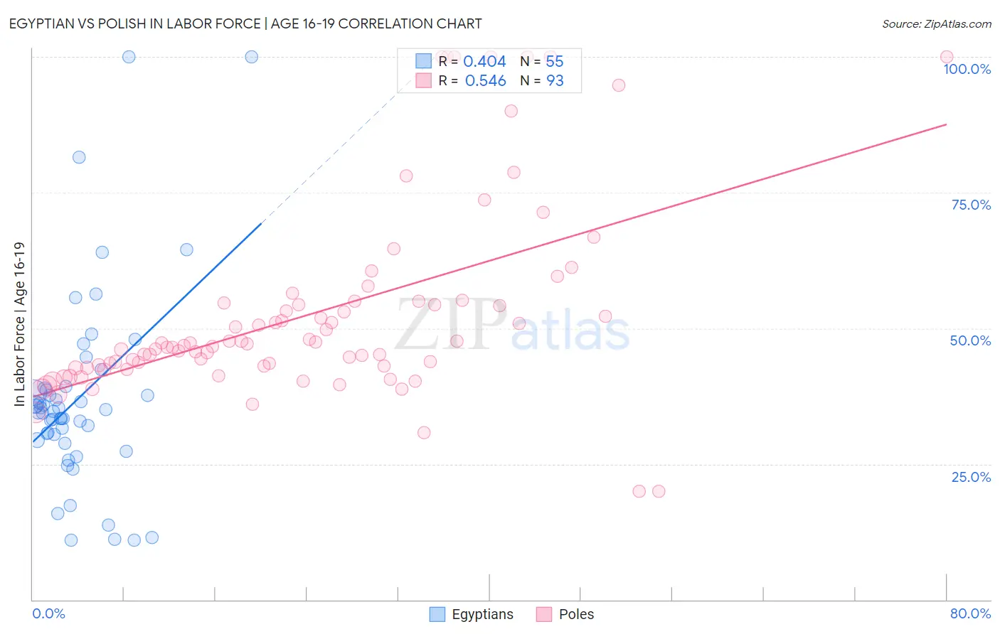 Egyptian vs Polish In Labor Force | Age 16-19