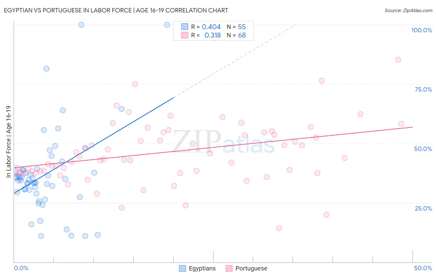 Egyptian vs Portuguese In Labor Force | Age 16-19