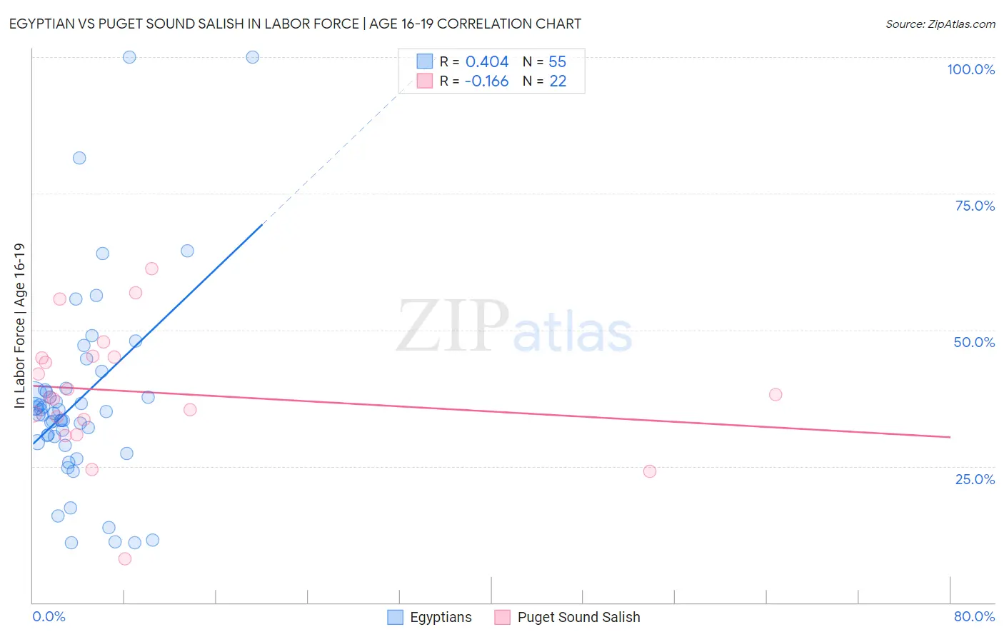 Egyptian vs Puget Sound Salish In Labor Force | Age 16-19