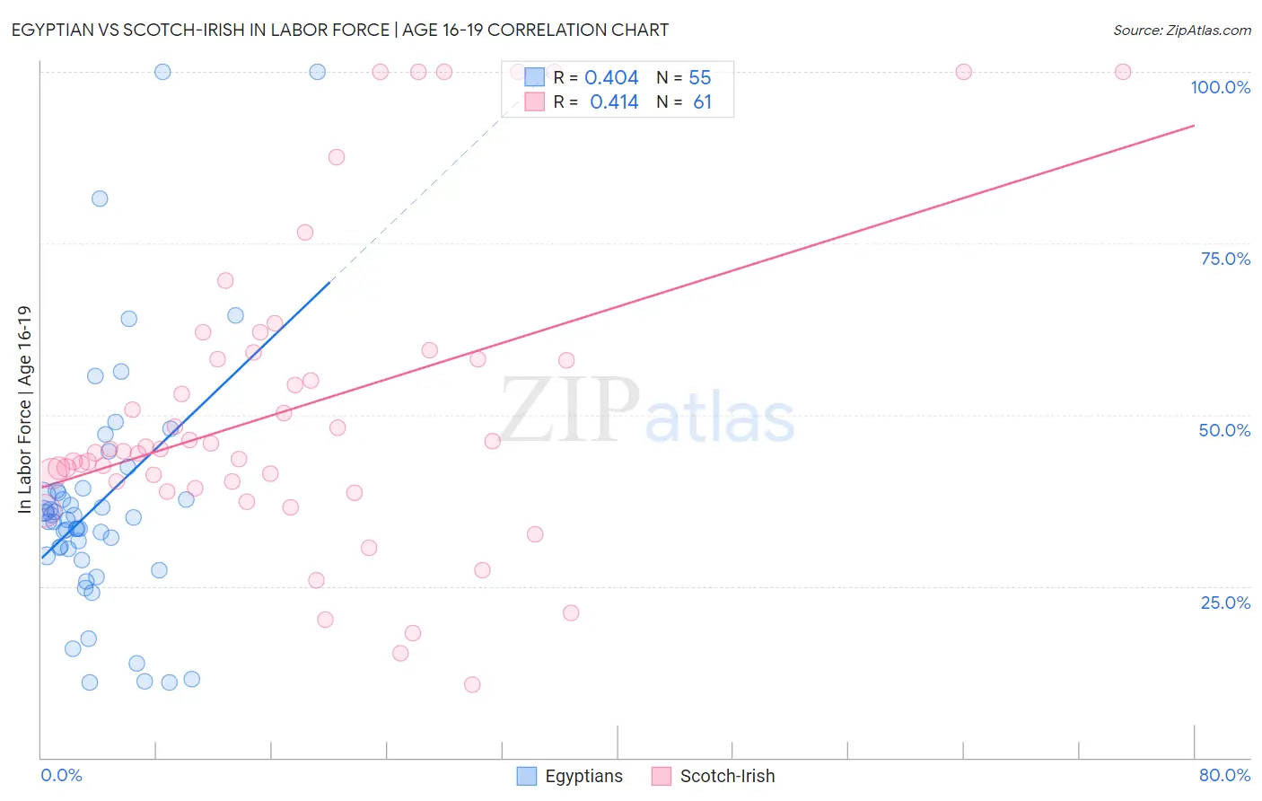 Egyptian vs Scotch-Irish In Labor Force | Age 16-19