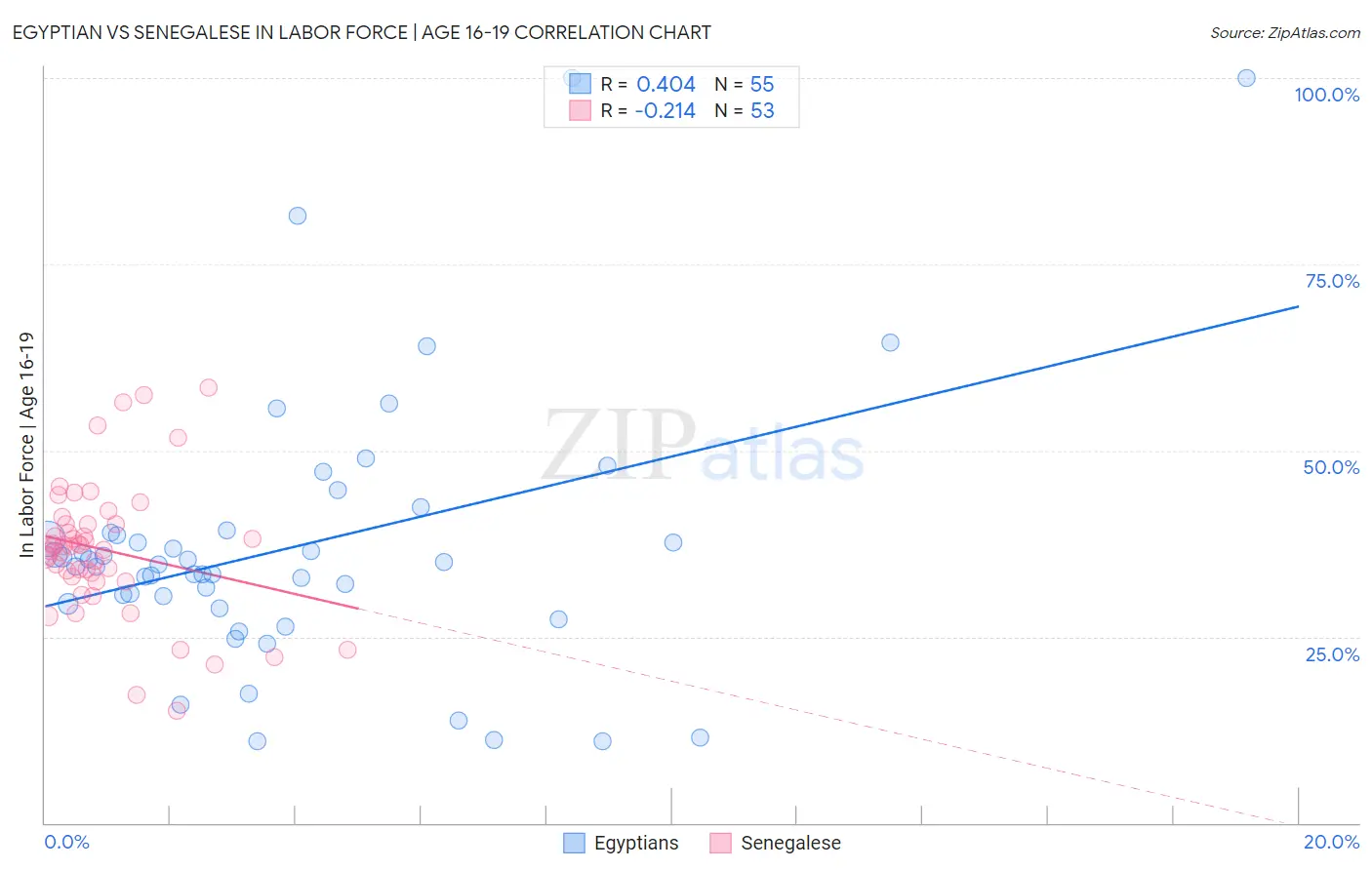 Egyptian vs Senegalese In Labor Force | Age 16-19