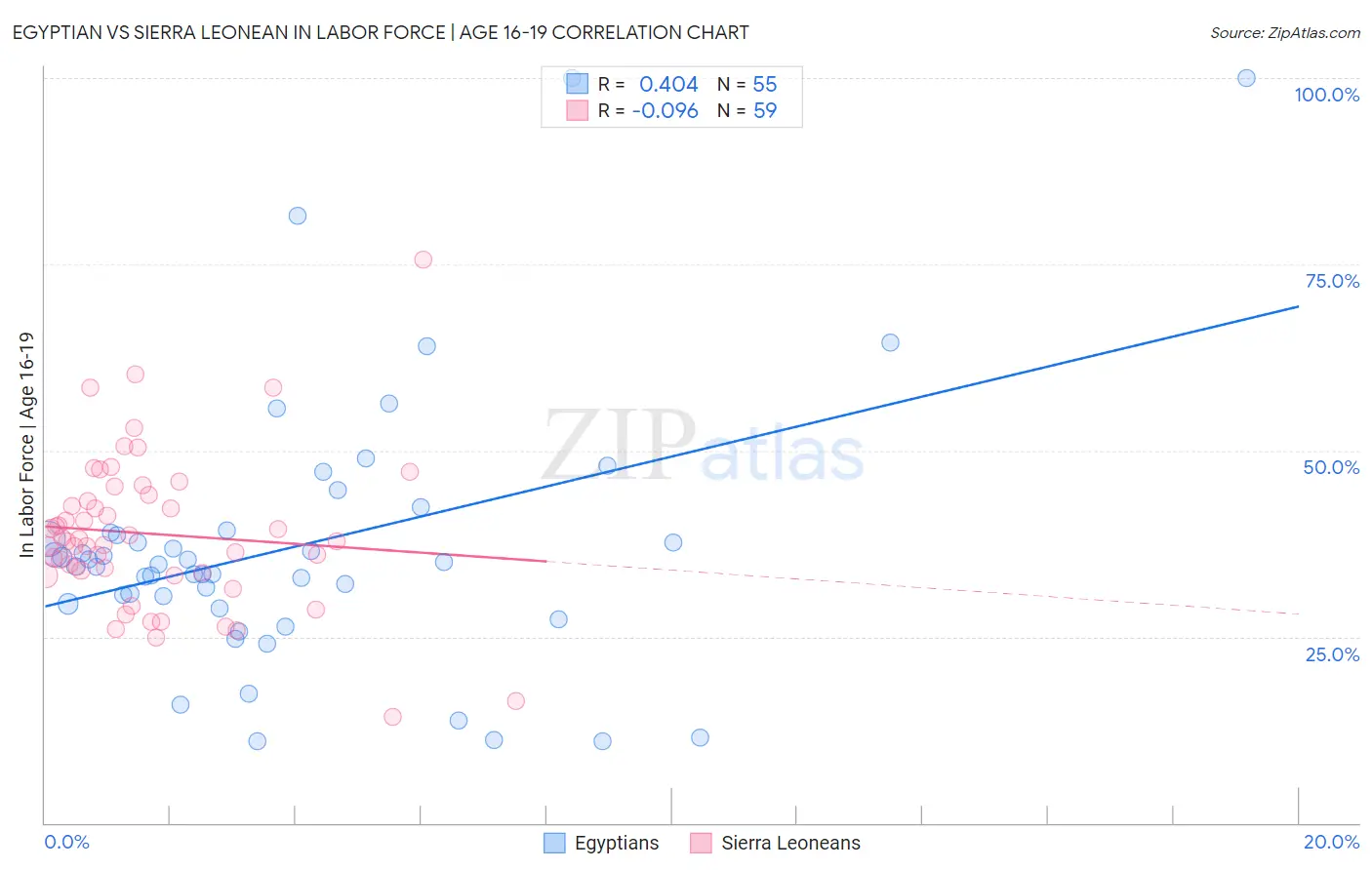 Egyptian vs Sierra Leonean In Labor Force | Age 16-19